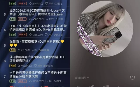 DJ秀 v4.7.7 – 无广告、免登录