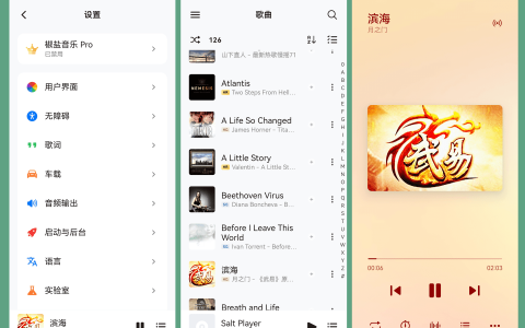 椒盐音乐/Salt Player v11.1.0 – 多端本地音乐播放器