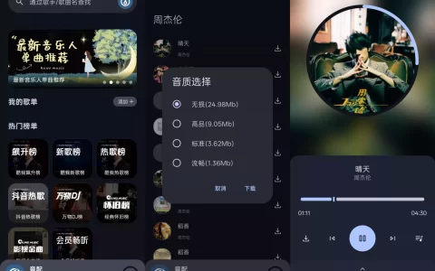 音配 v1.3.0 – 无广告、免登录