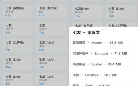 苏澜音乐 v8.5 – 纯净版
