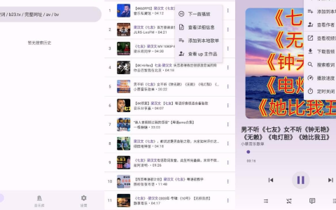 BBPlayer v2.4.6 – B站音乐播放器