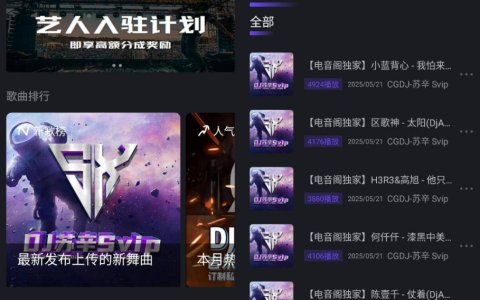 电音阁DJ v3.1.0 – 高级版